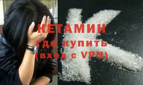 стаф Дмитриев