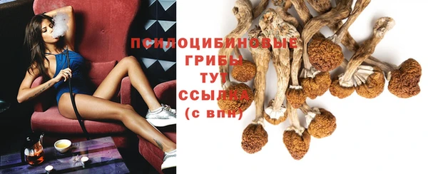 марки nbome Медвежьегорск