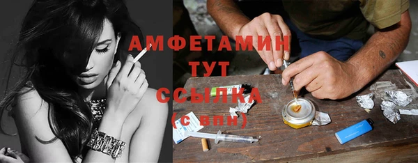 стаф Дмитриев